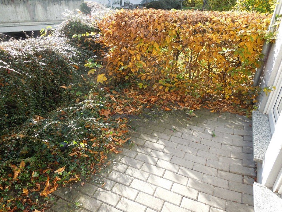 Terrasse Erdgeschosswohnung Eisenach
